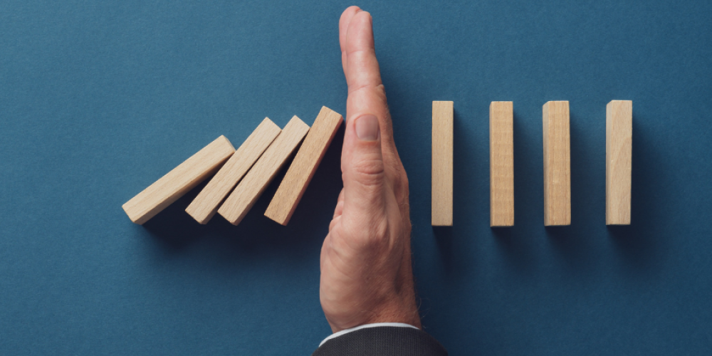 Management de transition à Reims